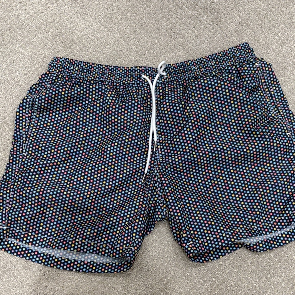 Men's Multicolor Swim Shorts